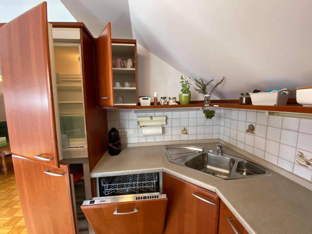 Apartment Kranj - Huge Terrace, Free P, Wi - Fi, Ac Exterior photo