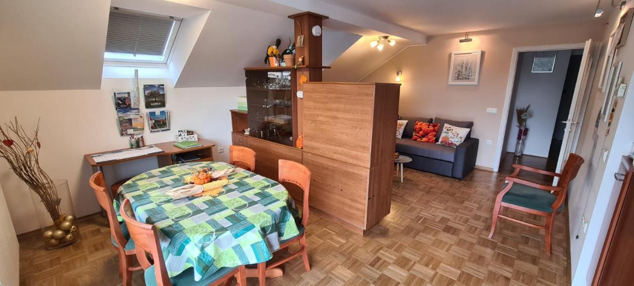 Apartment Kranj - Huge Terrace, Free P, Wi - Fi, Ac Exterior photo