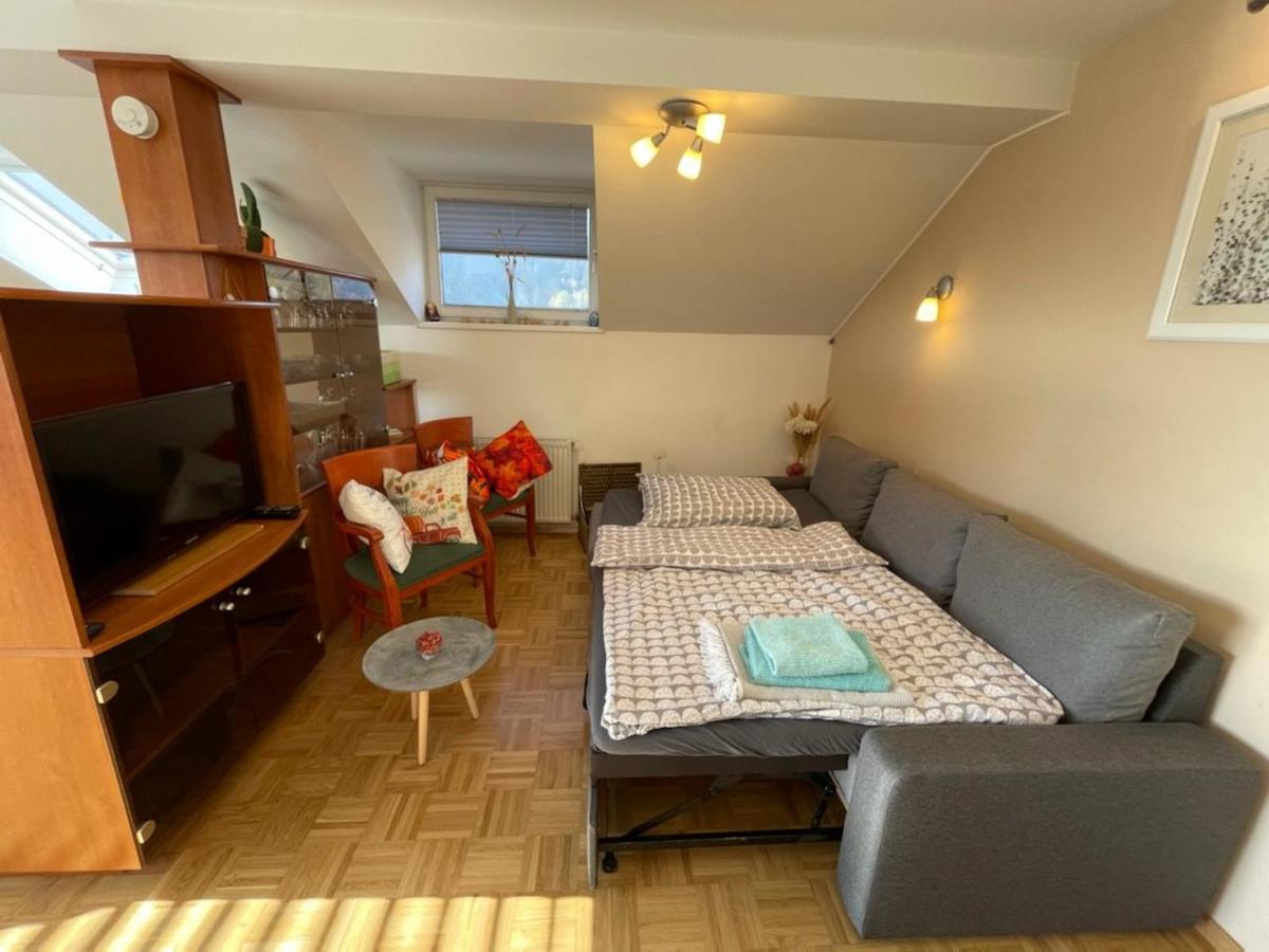 Apartment Kranj - Huge Terrace, Free P, Wi - Fi, Ac Exterior photo